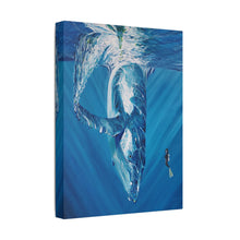 Load image into Gallery viewer, Diving Deep | Satin Canvas